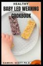 Healthy Baby Led Weaning Cookbook - Preview