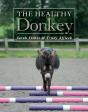 Healthy Donkey - Preview