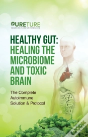 Capa do artigo Healthy Gut And Autoimmune Diet 101