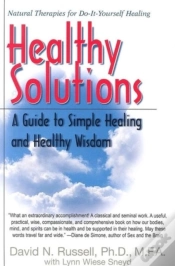 Capa do artigo Healthy Solutions