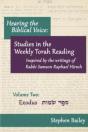 Hearing The Biblical Voice - Preview