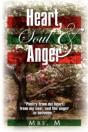 Heart, Soul & Anger - Preview