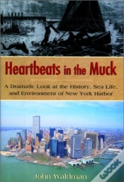 Capa do artigo Heartbeats In The Muck