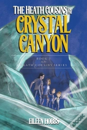 Capa do artigo Heath Cousins And The Crystal Canyon