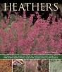 Heathers - Preview