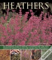 Capa do artigo Heathers