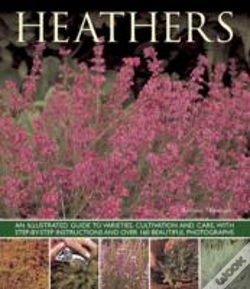 Capa do artigo Heathers
