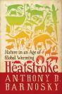 Heatstroke - Preview