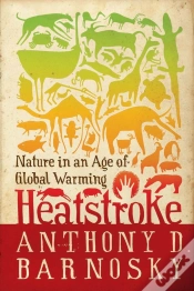 Capa do artigo Heatstroke