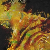 Capa do artigo Heaven in Hiding - CD