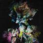 Heaven in Hiding - Vinil - Preview