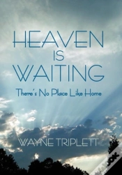 Capa do artigo Heaven Is Waiting