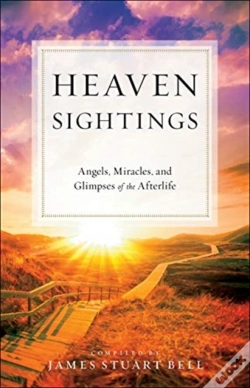 Capa do artigo Heaven Sightings