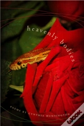 Heavenly Bodies