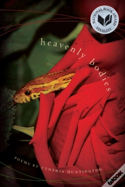 Capa do artigo Heavenly Bodies