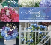 Heavenly Hydrangeas