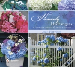 Capa do artigo Heavenly Hydrangeas
