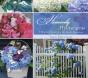 Heavenly Hydrangeas - Preview
