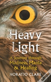Capa do artigo Heavy Light