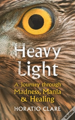 Capa do artigo Heavy Light