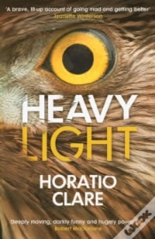 Capa do artigo Heavy Light