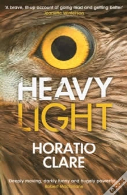 Capa do artigo Heavy Light