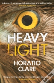 Capa do artigo Heavy Light