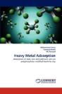 Heavy Metal Adsorption - Preview