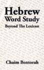 Hebrew Word Study: Beyond The Lexicon - Preview