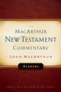 Hebrews Macarthur New Testament Commentary - Preview