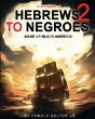 Hebrews To Negroes 2 - Preview