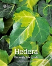 Capa do artigo Hedera:The Complete Guide