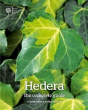 Hedera:The Complete Guide - Preview