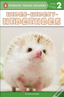 Capa do artigo Hedge-Hedgey-Hedgehogs