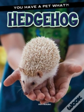Hedgehog