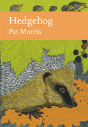 Hedgehog - Preview