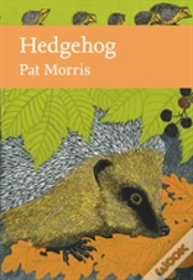 Capa do artigo Hedgehog