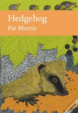 Capa do artigo Hedgehog