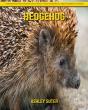 Hedgehog - Preview