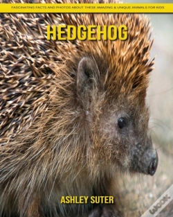 Capa do artigo Hedgehog