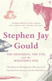 Capa do artigo Hedgehog, The Fox And The Magister