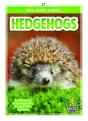 Hedgehogs - Preview