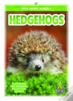 Capa do artigo Hedgehogs