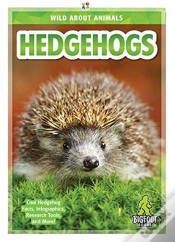 Capa do artigo Hedgehogs