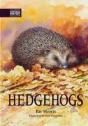 Hedgehogs - Preview