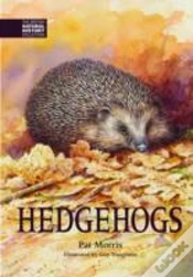 Capa do artigo Hedgehogs