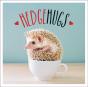 Hedgehugs - Preview