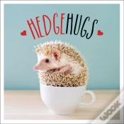 Capa do artigo Hedgehugs