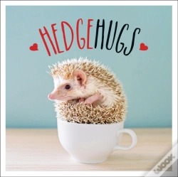 Capa do artigo Hedgehugs