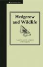 Hedgerow And Wildlife - Preview